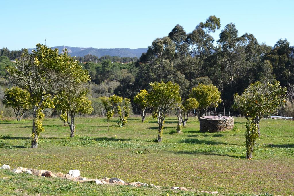 Herdade Do Freixial - Turismo Rural Vila Nova de Milfontes Luaran gambar